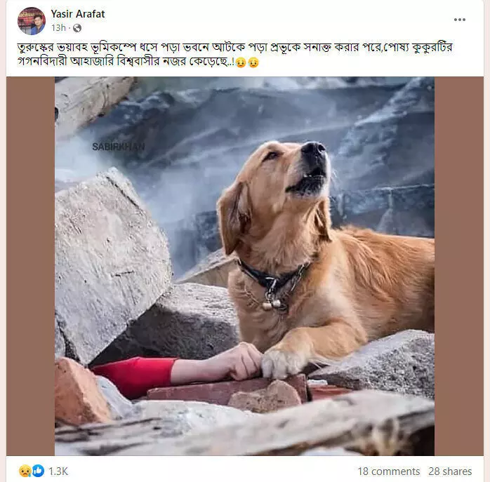 পোস্টটি দেখুন এখানে